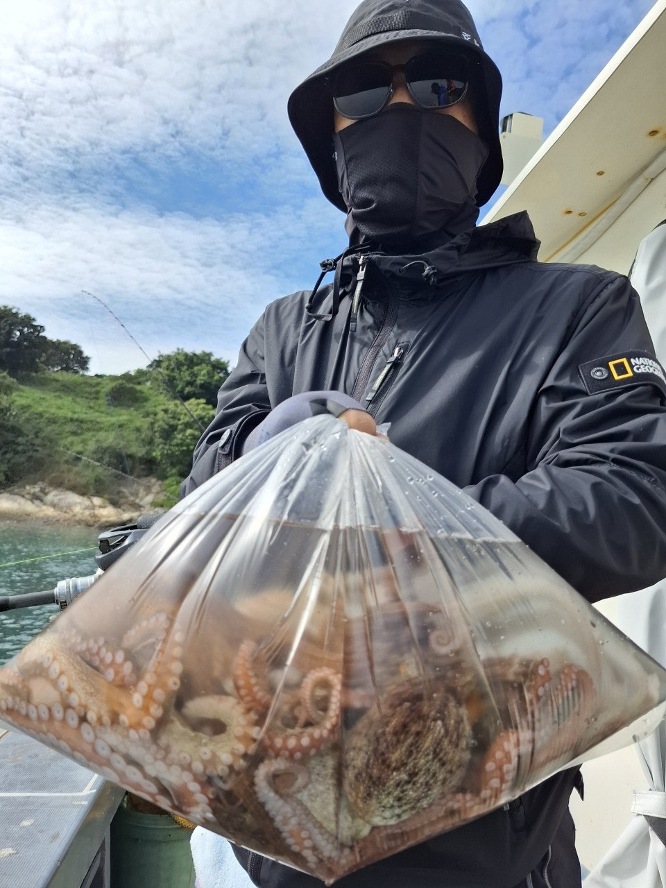 사용자가 올린 이미지