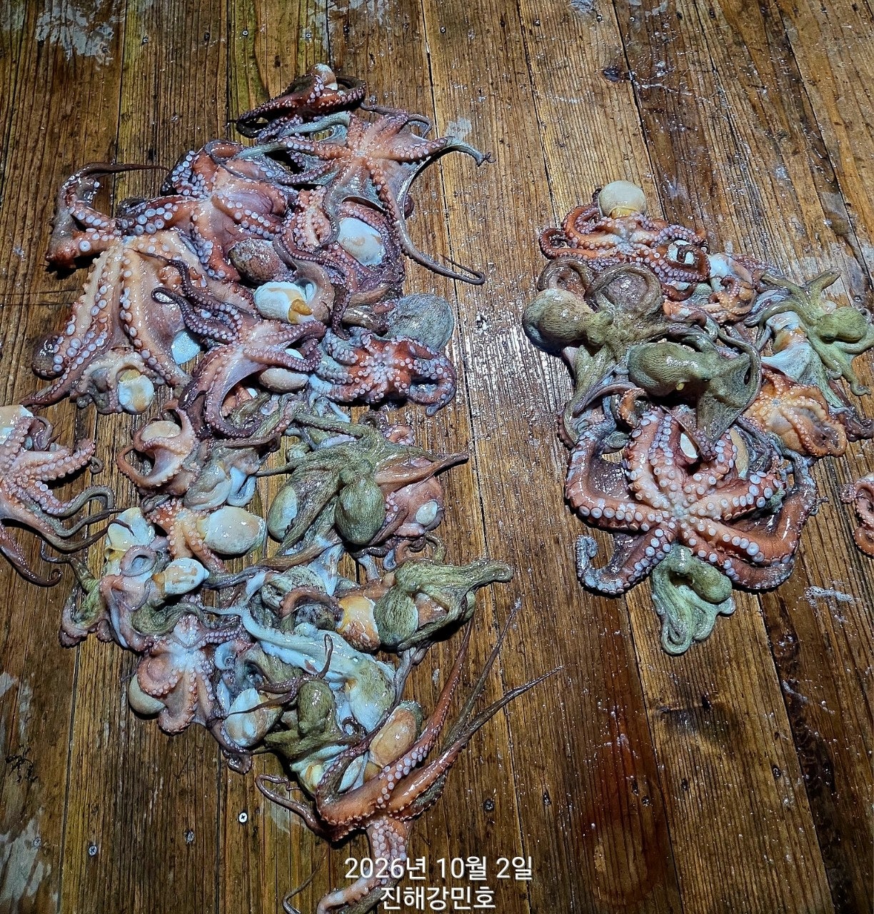 ����ڰ� �ø� �̹���