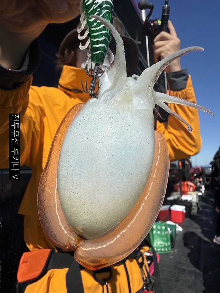사용자가 올린 이미지