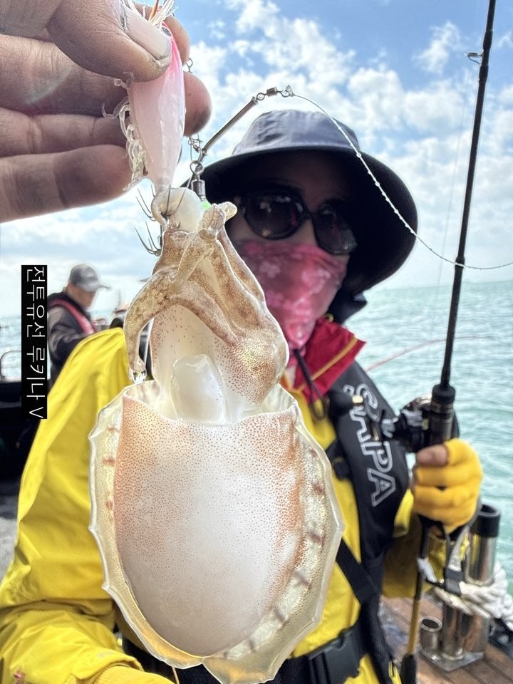 사용자가 올린 이미지