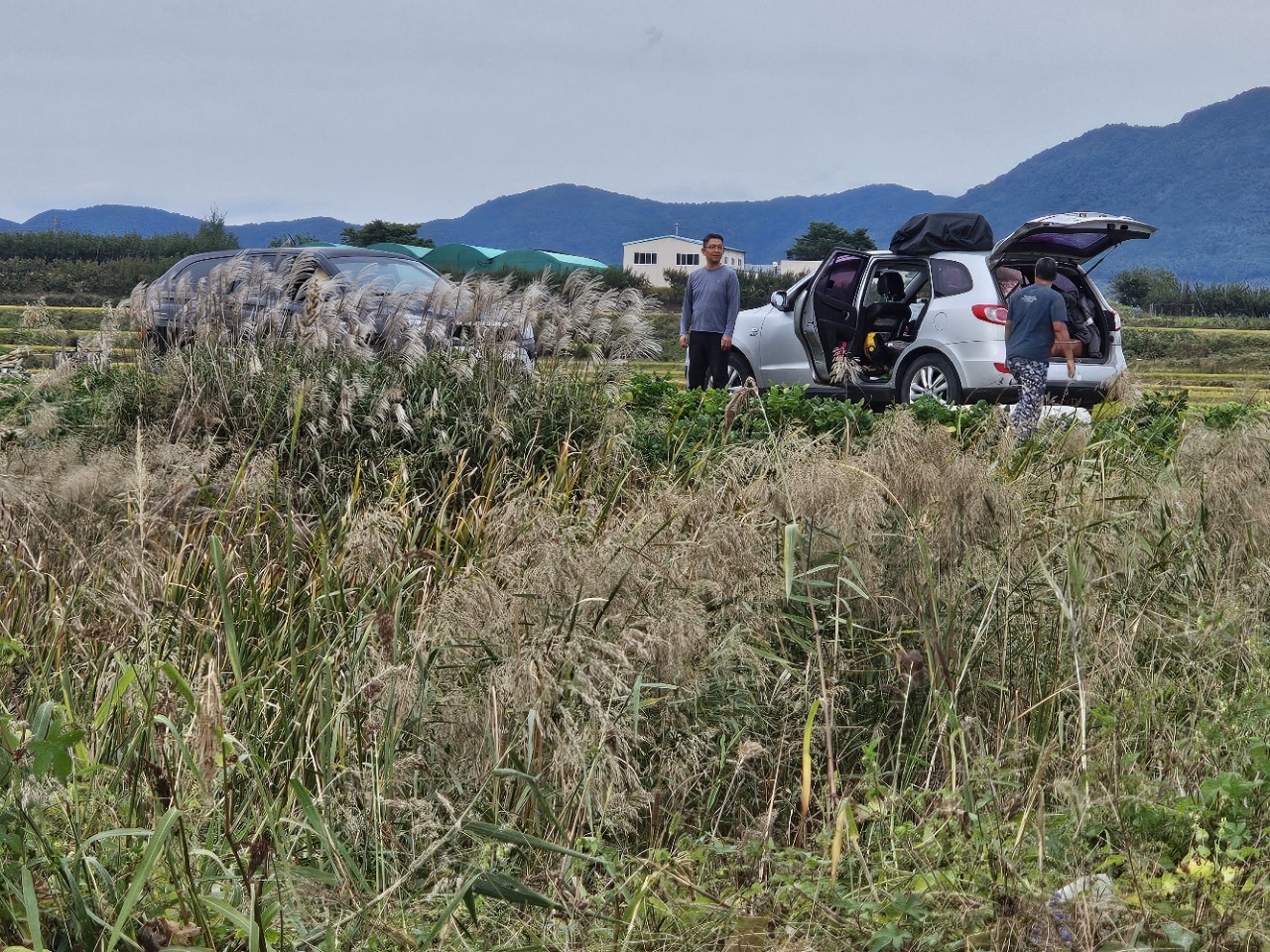 ����ڰ� �ø� �̹���