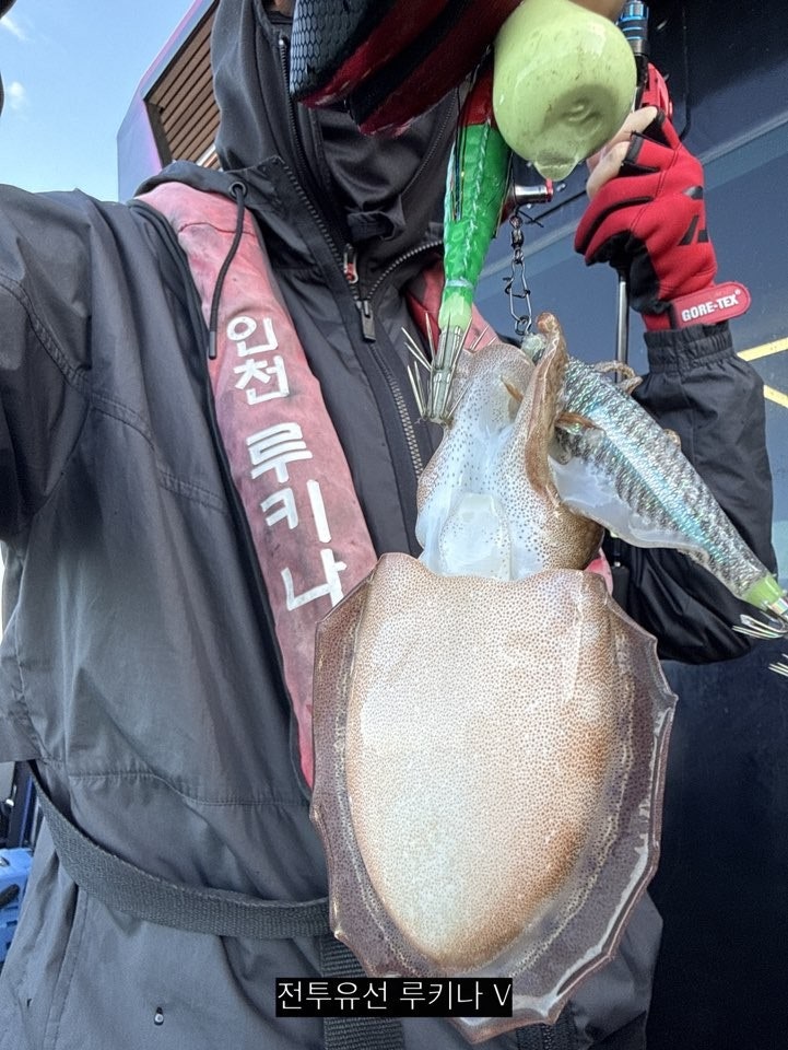 사용자가 올린 이미지