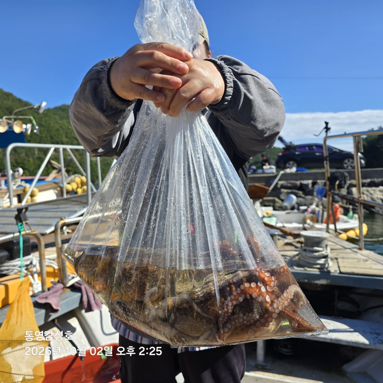 사용자가 올린 이미지