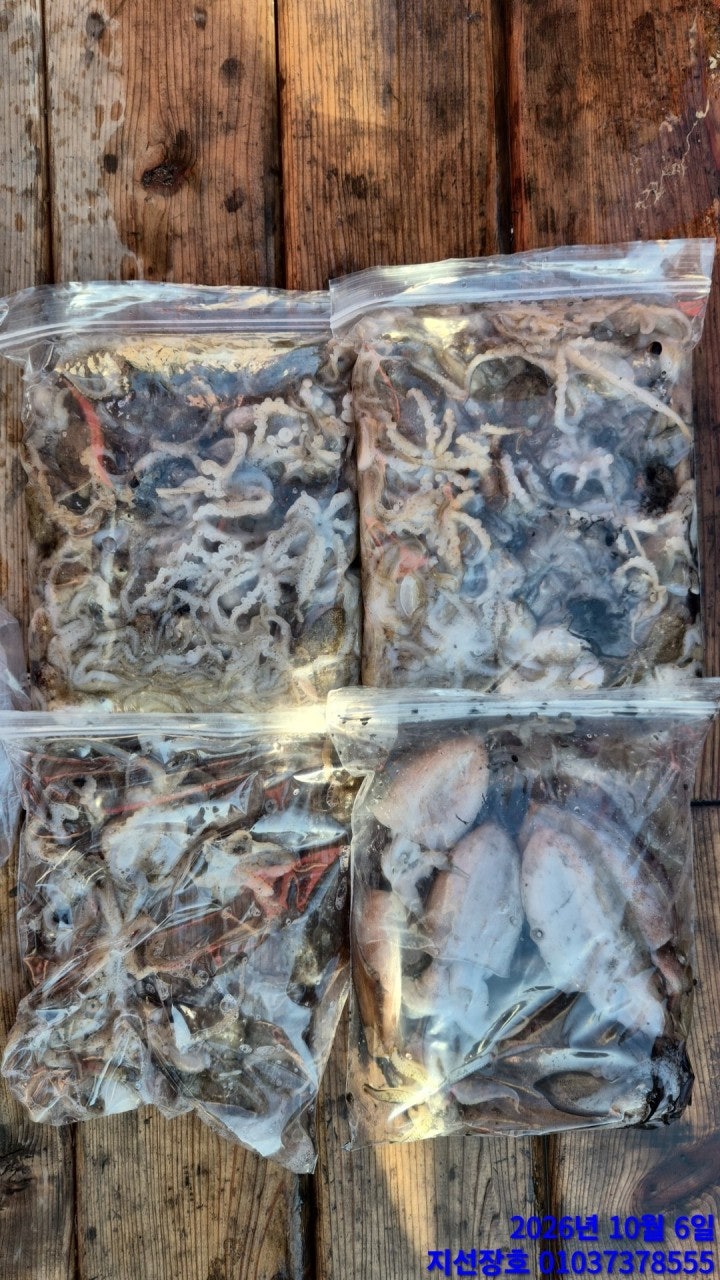 ����ڰ� �ø� �̹���