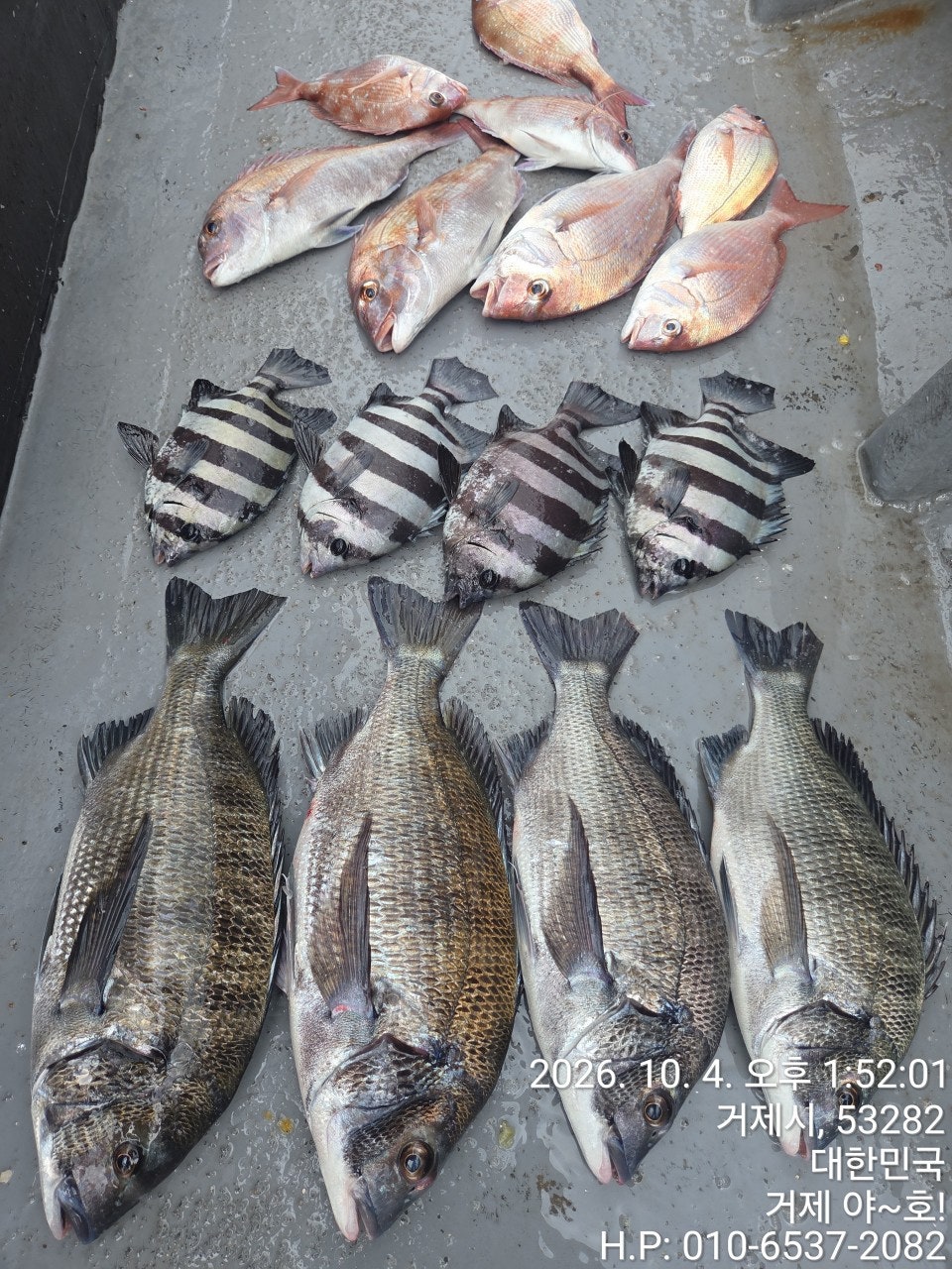 ����ڰ� �ø� �̹���