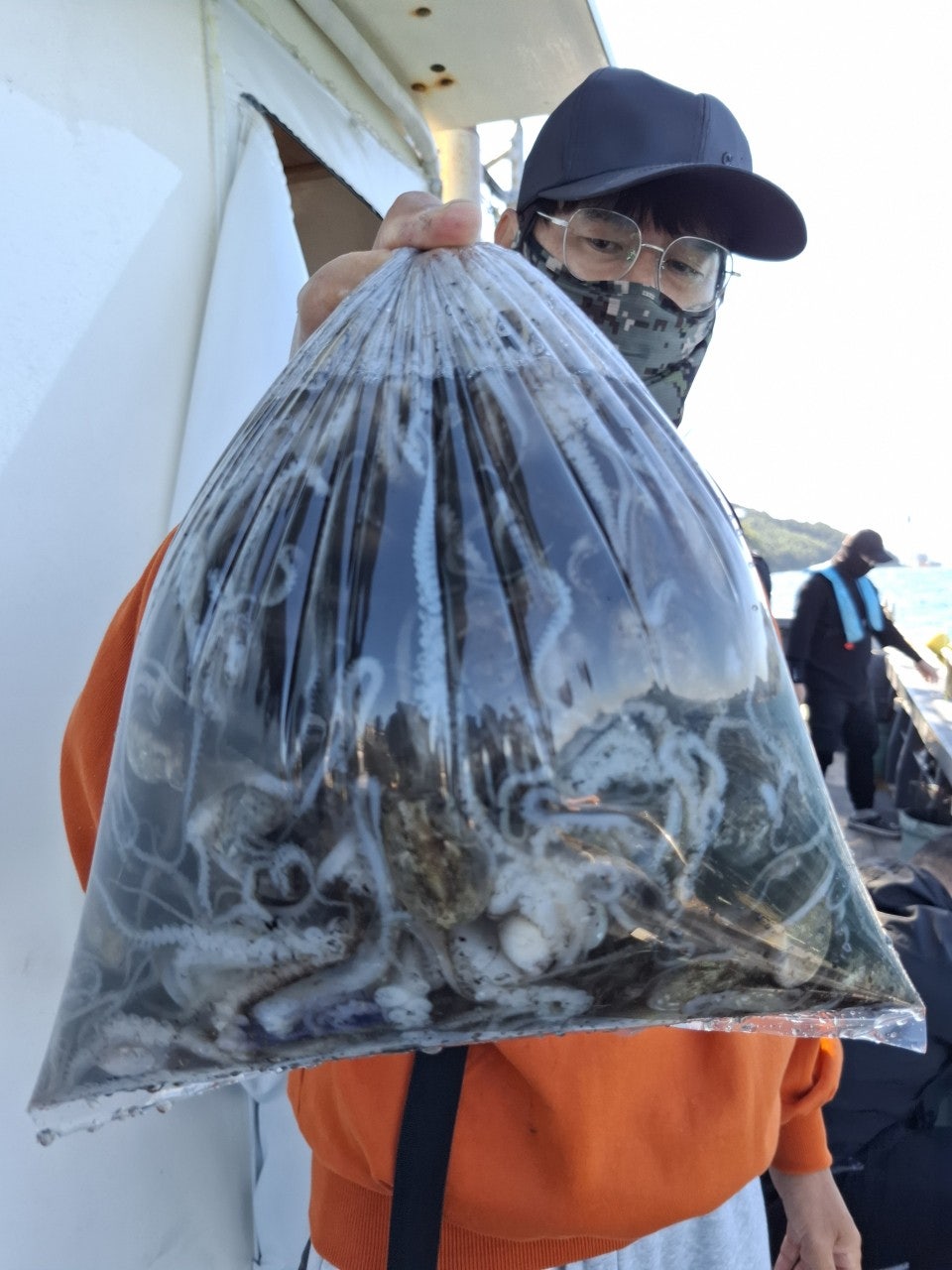 사용자가 올린 이미지