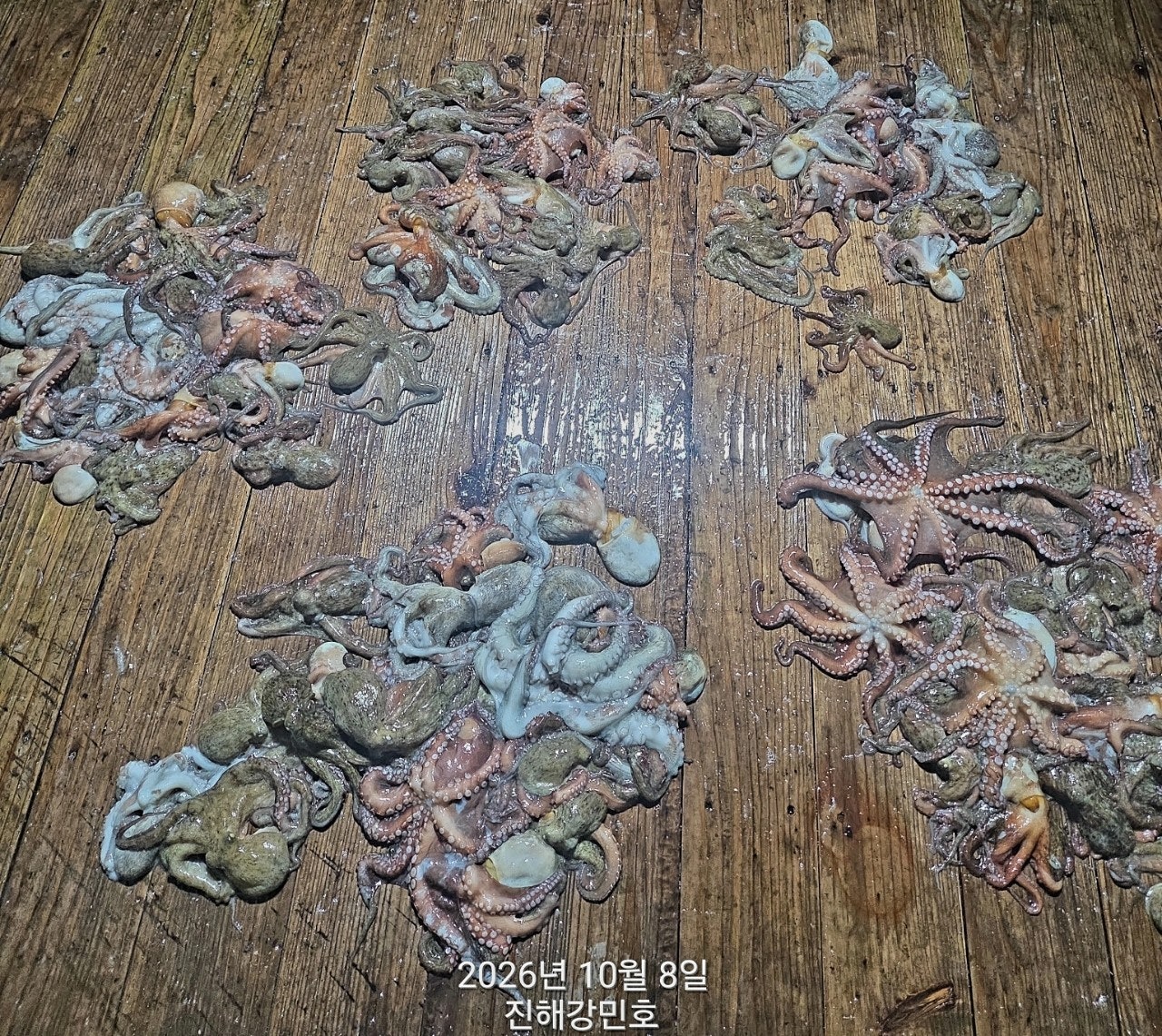 ����ڰ� �ø� �̹���