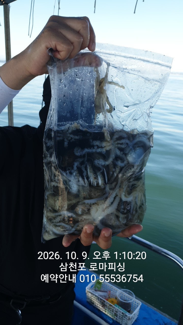 ����ڰ� �ø� �̹���