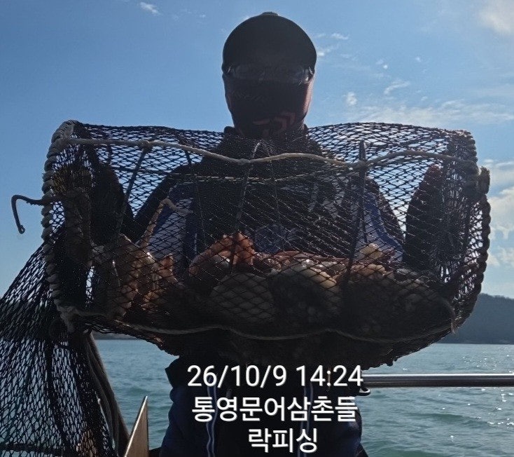 ����ڰ� �ø� �̹���
