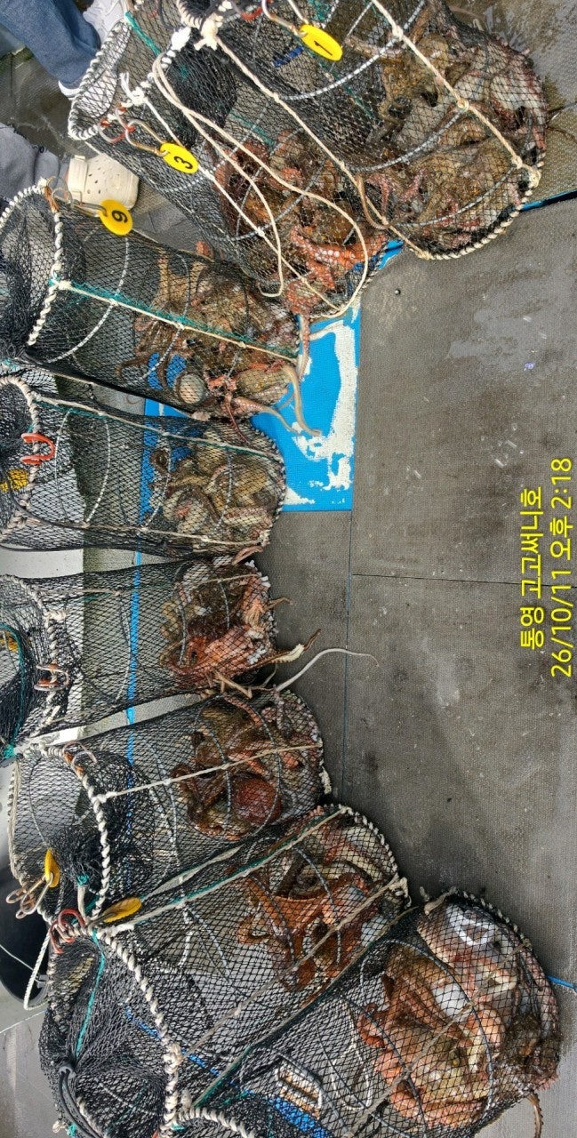 ����ڰ� �ø� �̹���