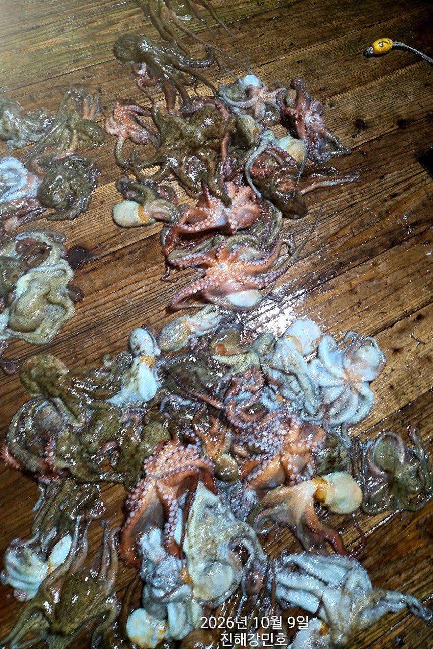 ����ڰ� �ø� �̹���