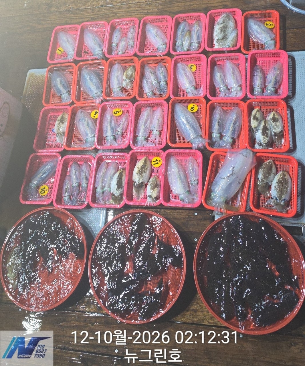 ����ڰ� �ø� �̹���