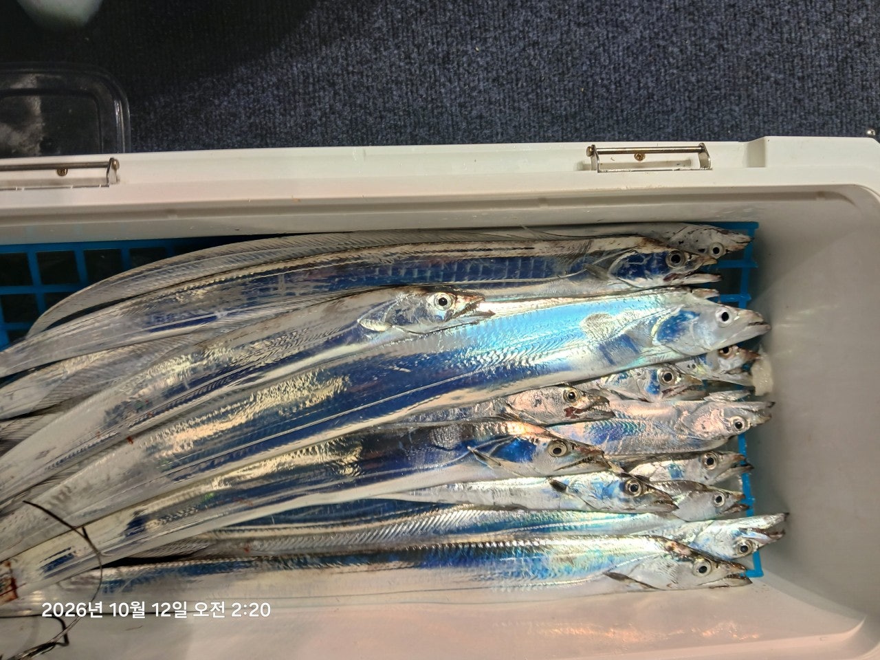 ����ڰ� �ø� �̹���