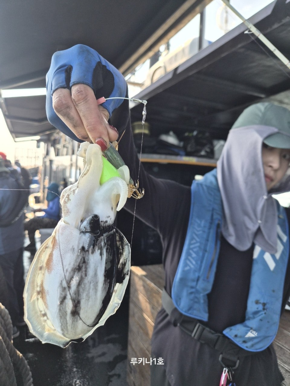 사용자가 올린 이미지