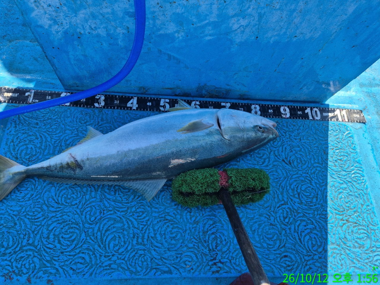 j_0bdUd018svc1feixnhi0nrlt_9bt2m0.jpg