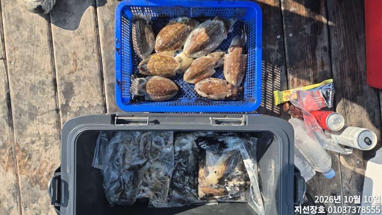 ����ڰ� �ø� �̹���