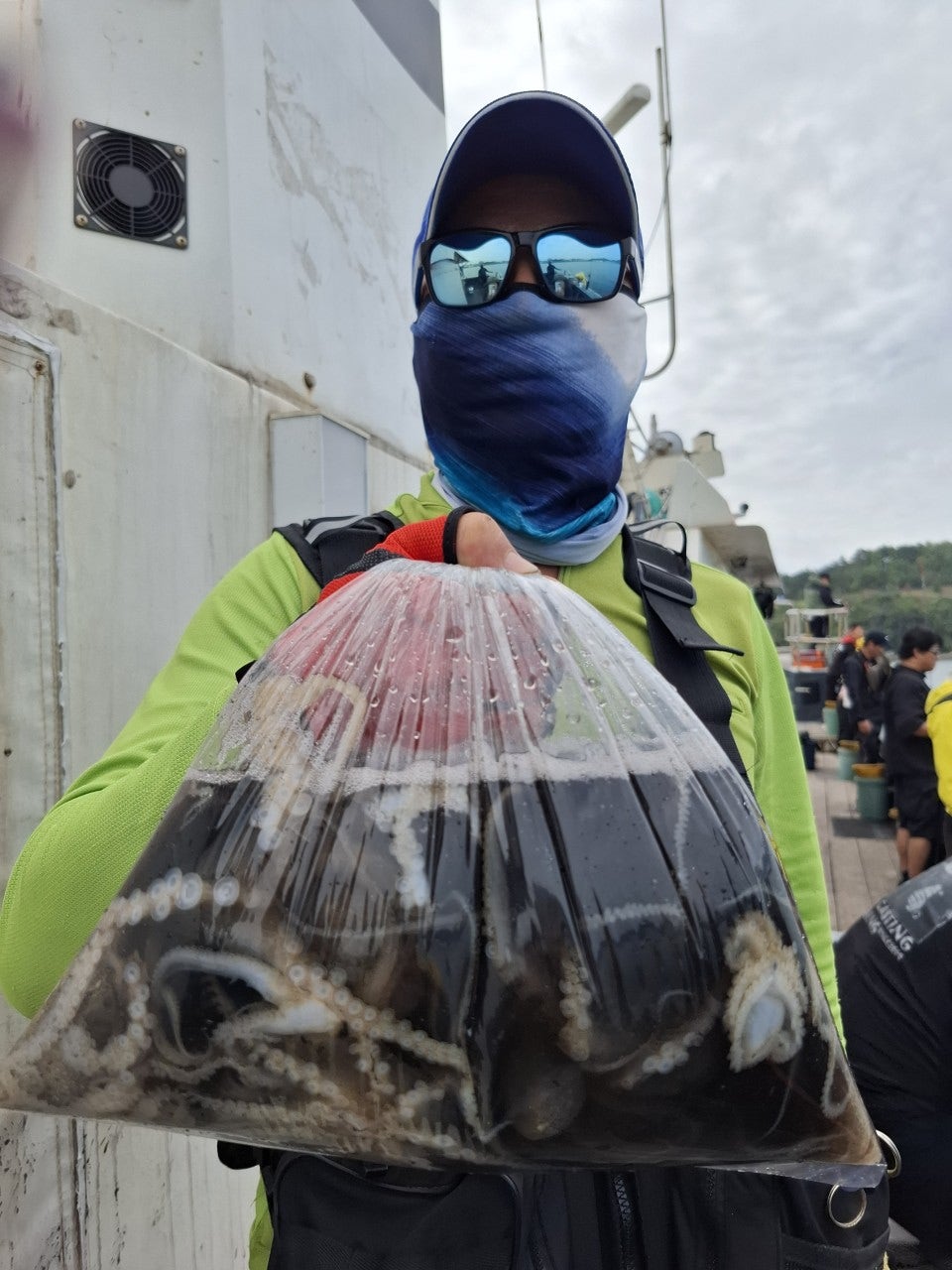 사용자가 올린 이미지