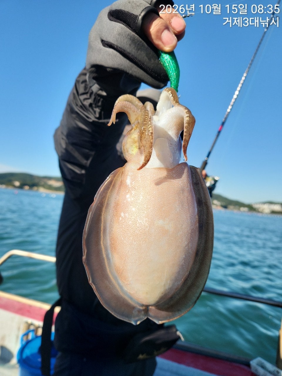 ����ڰ� �ø� �̹���