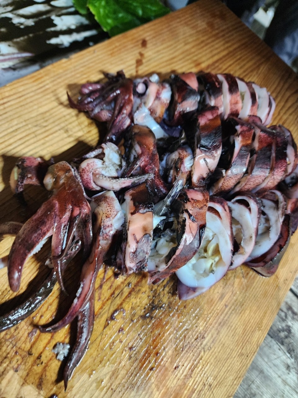 ����ڰ� �ø� �̹���