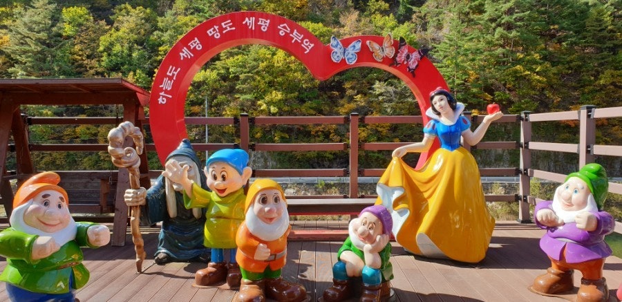 사용자가 올린 이미지