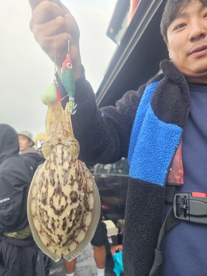 사용자가 올린 이미지