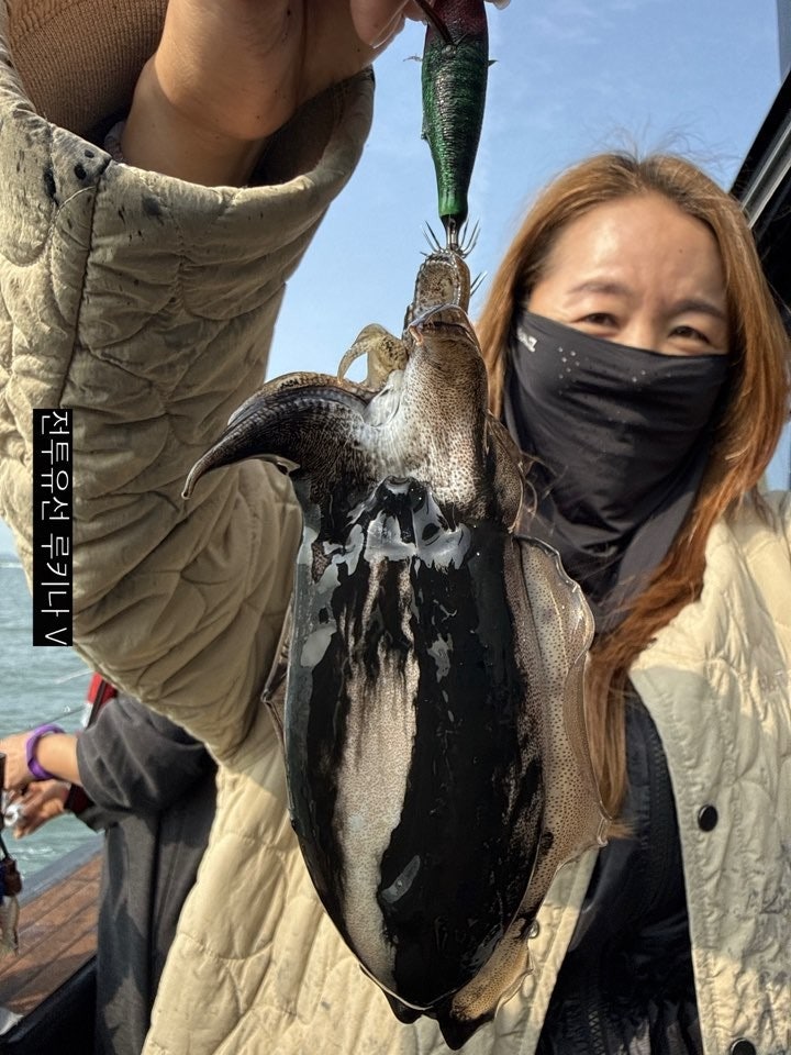 사용자가 올린 이미지