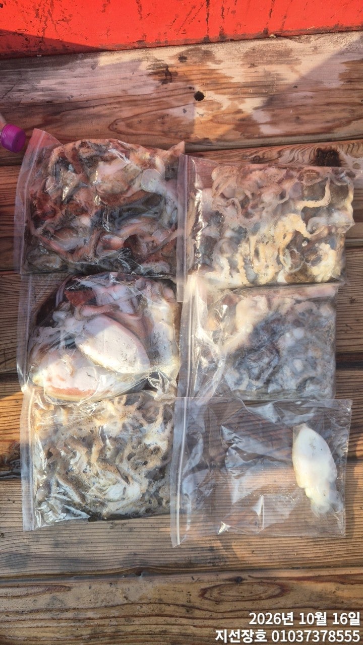 ����ڰ� �ø� �̹���