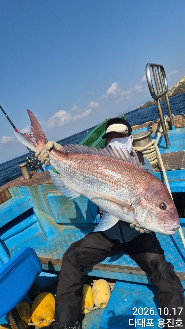 ����ڰ� �ø� �̹���