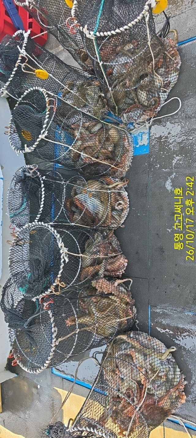 ����ڰ� �ø� �̹���
