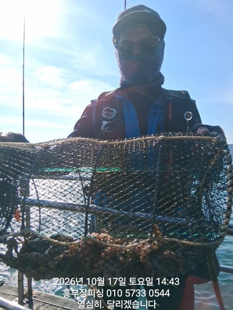 ����ڰ� �ø� �̹���