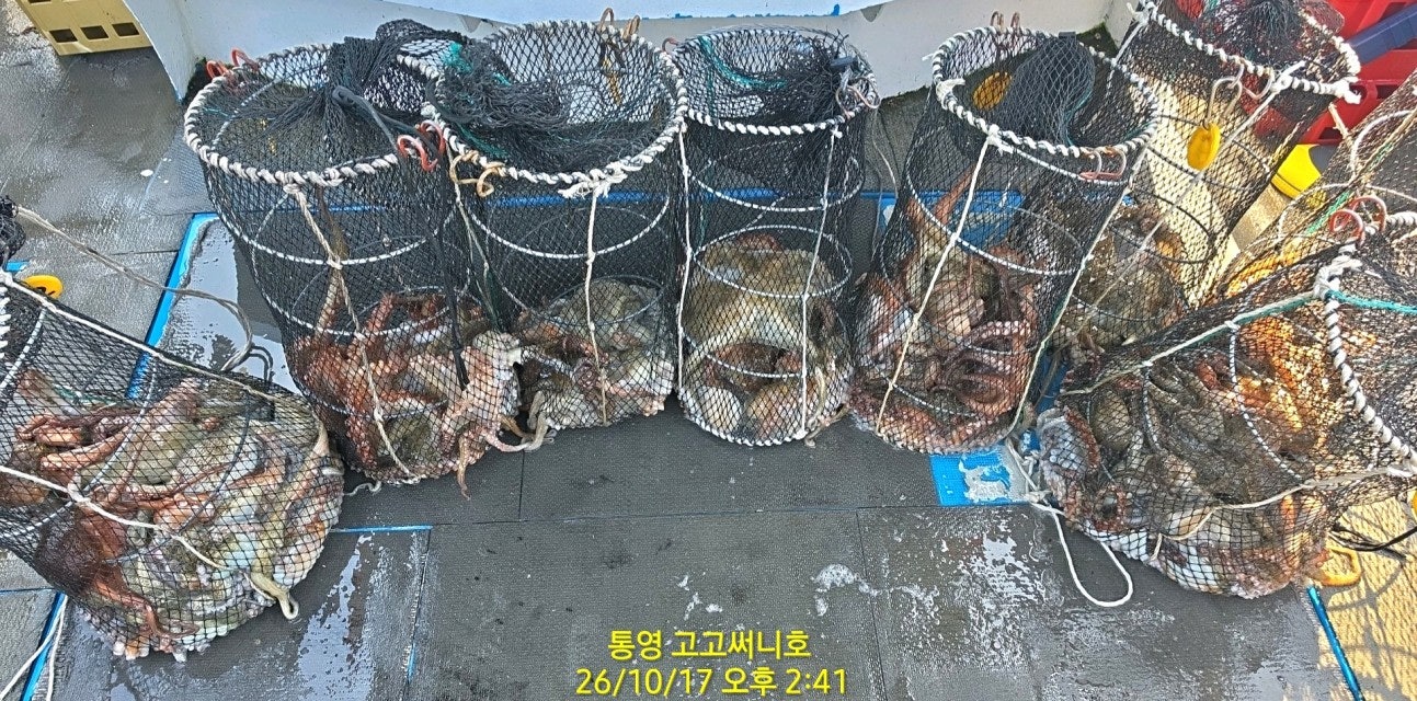 ����ڰ� �ø� �̹���