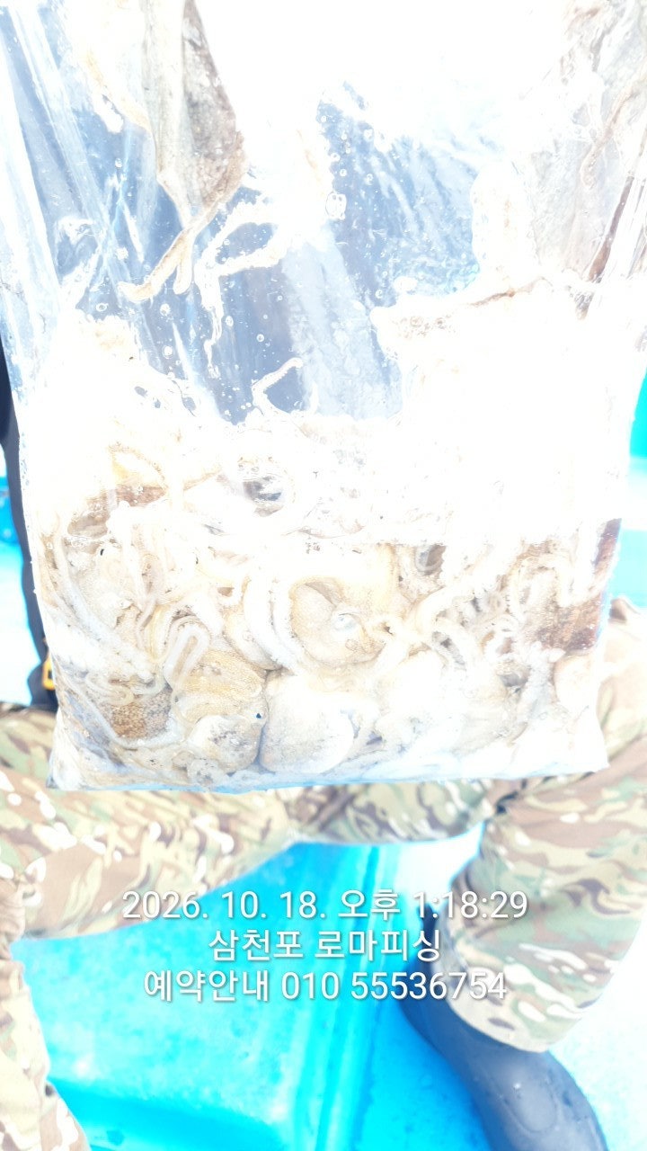 ����ڰ� �ø� �̹���