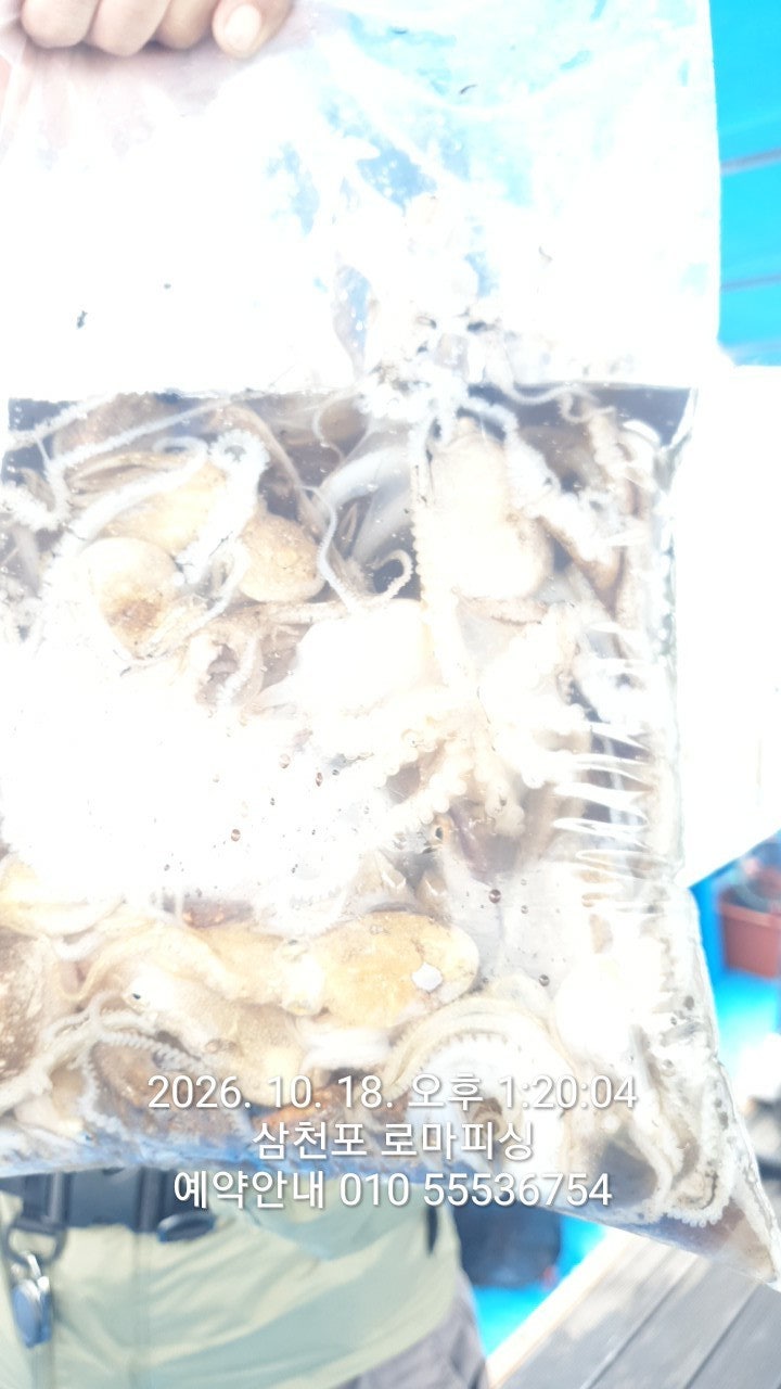 ����ڰ� �ø� �̹���