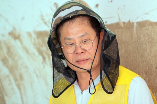 사진