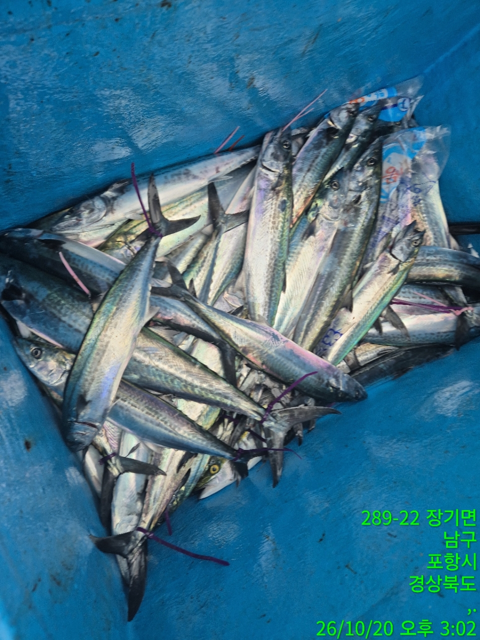 2_i92Ud018svctx7sz1vgq170_9bt2m0.jpg