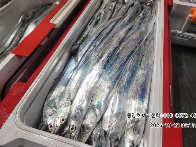 ����ڰ� �ø� �̹���