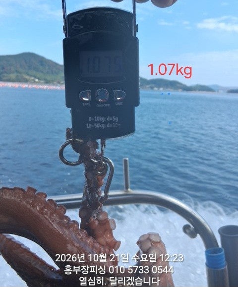 ����ڰ� �ø� �̹���