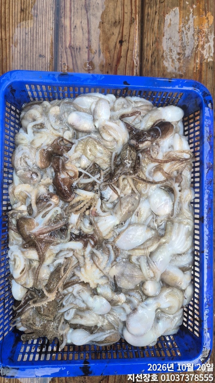 ����ڰ� �ø� �̹���
