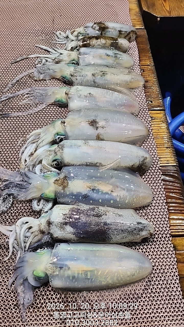 ����ڰ� �ø� �̹���
