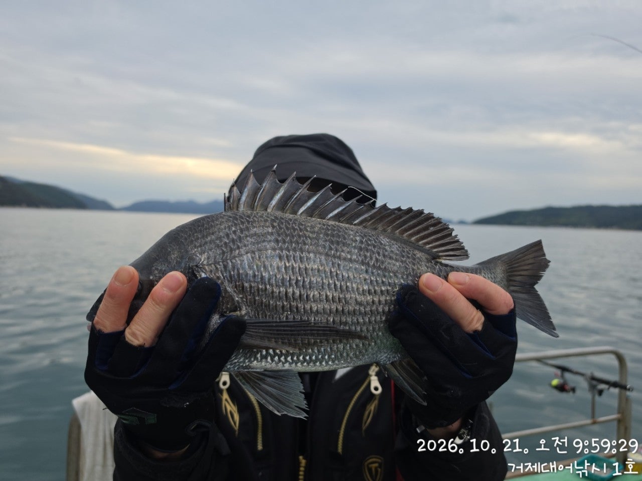 ����ڰ� �ø� �̹���