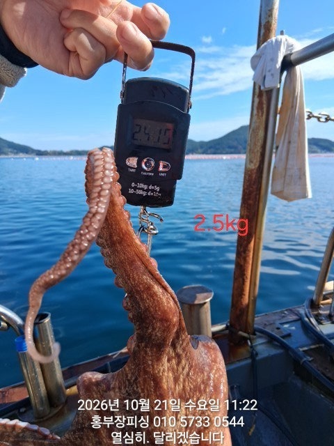 ����ڰ� �ø� �̹���