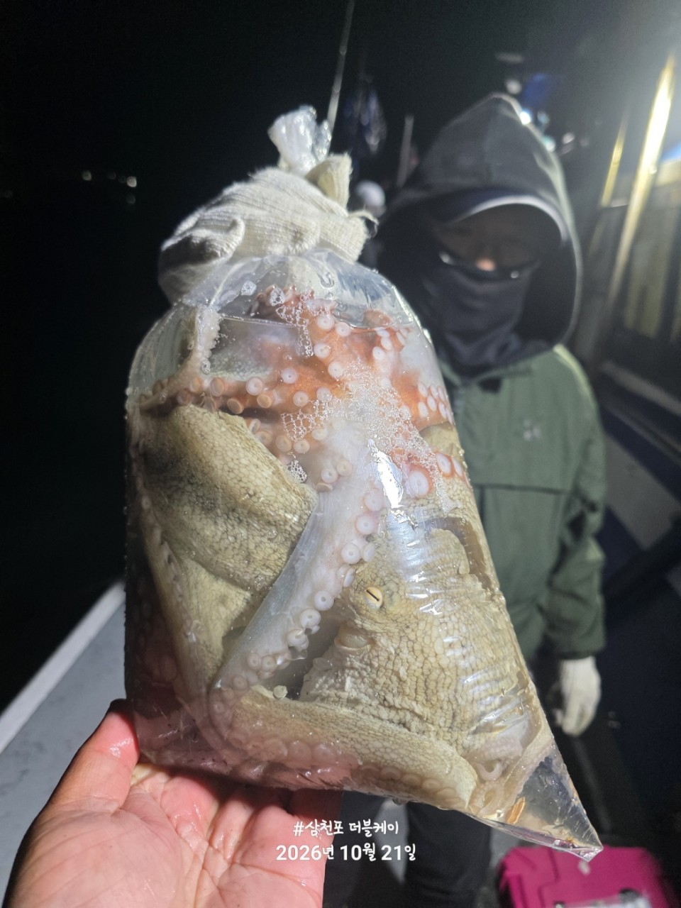 10월 22일 문어 선상낚시 조황 현장 사진 44