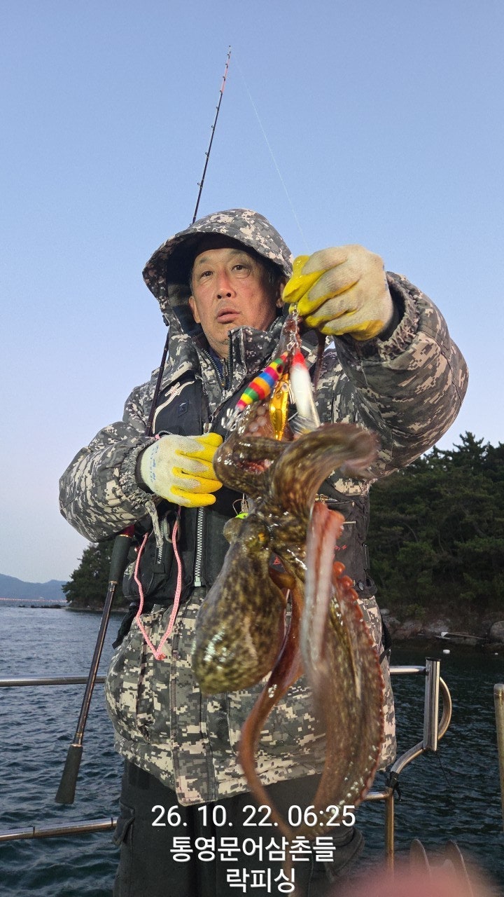 ����ڰ� �ø� �̹���
