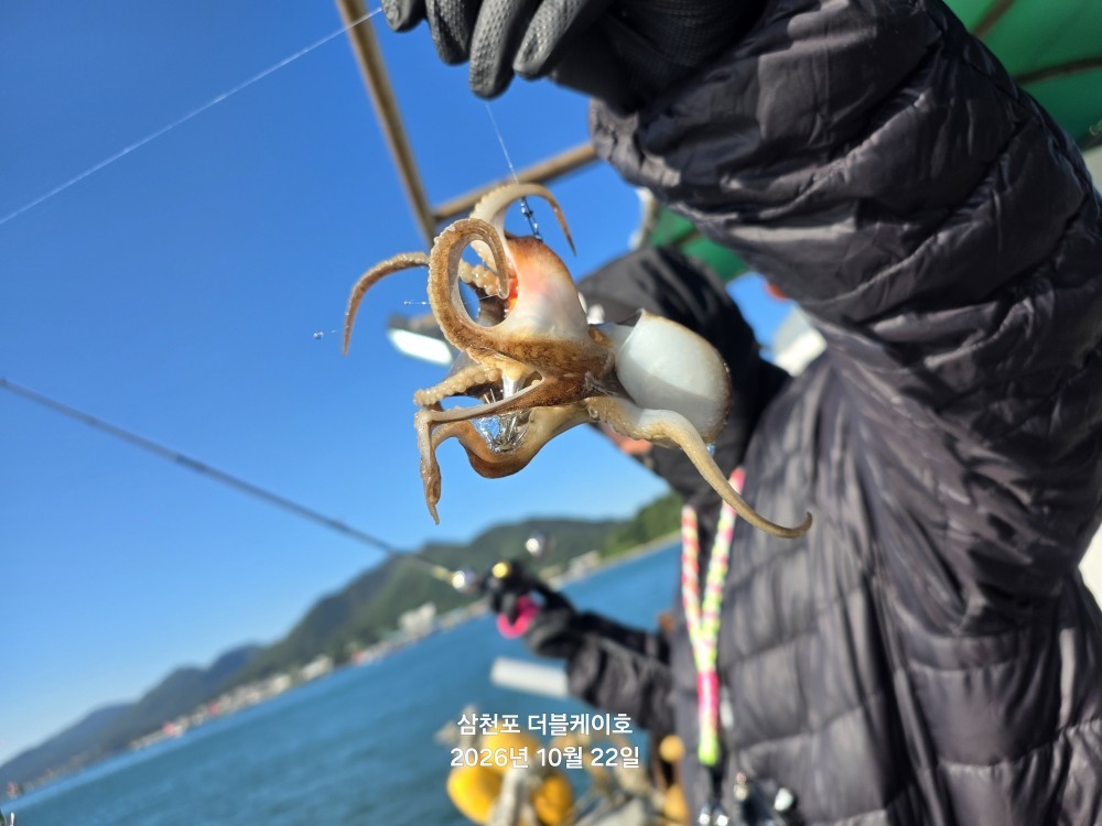 10월 22일 문어 선상낚시 조황 현장 사진 6