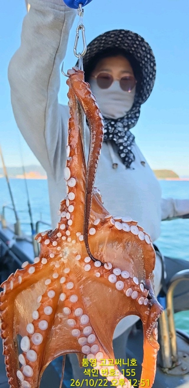 ����ڰ� �ø� �̹���