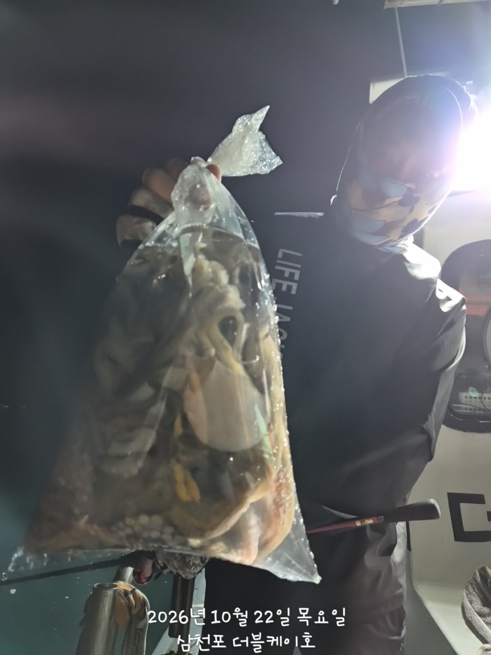 10월 23일 문어 선상낚시 조황 현장 사진 17