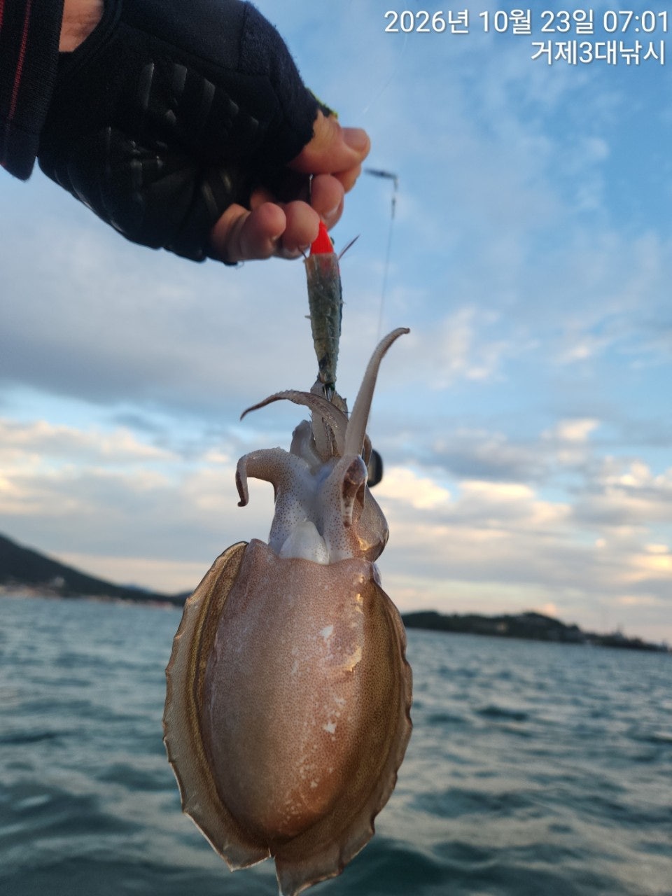����ڰ� �ø� �̹���