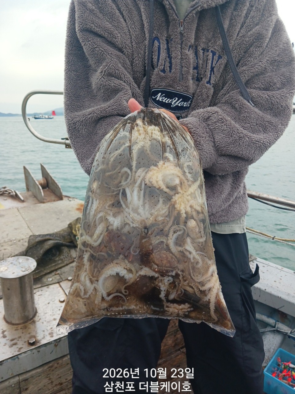 10월 23일 문어 선상낚시 조황 현장 사진 2
