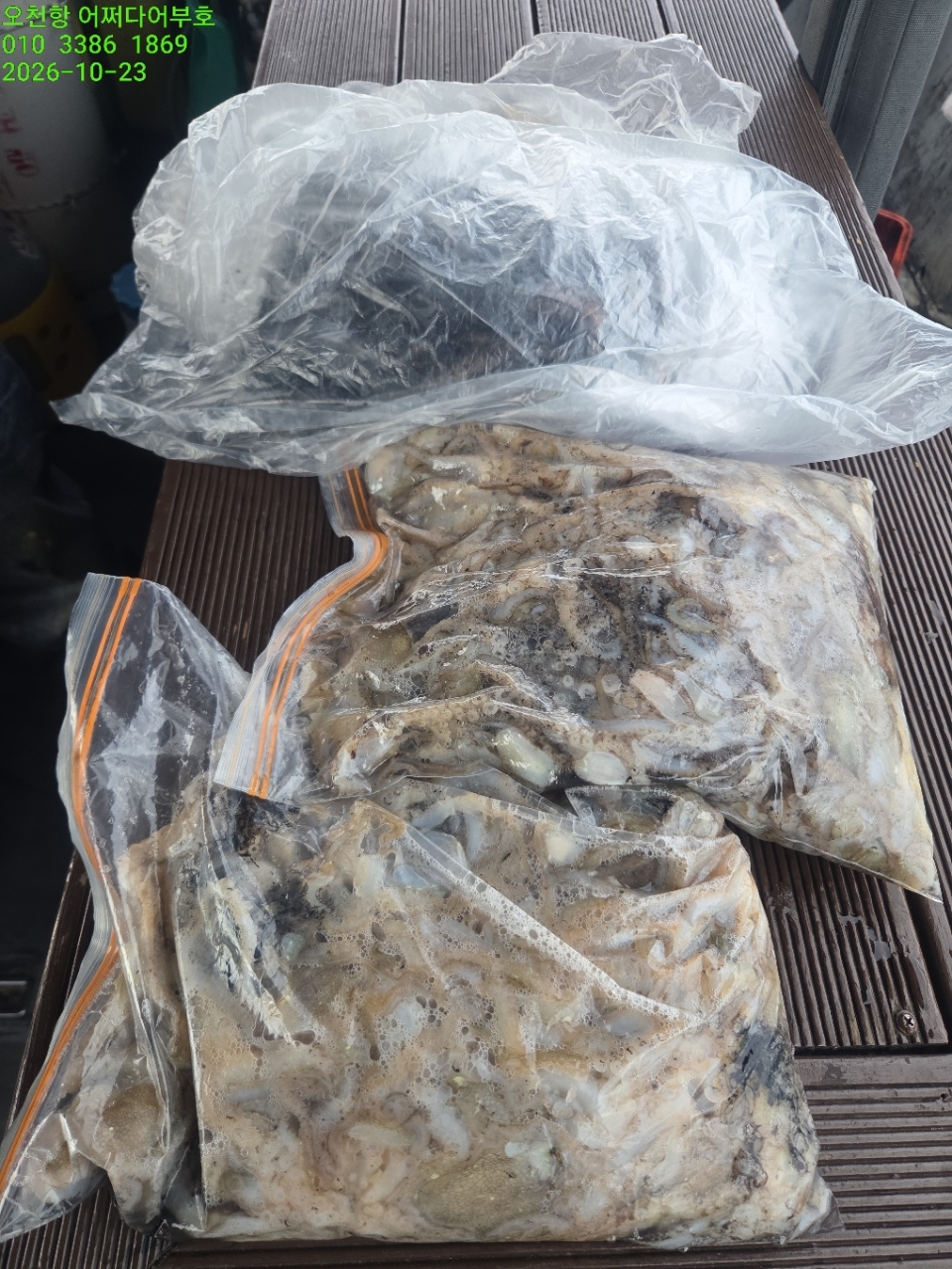 10월 23일 갑오징어 선상낚시 조황 현장 사진 10