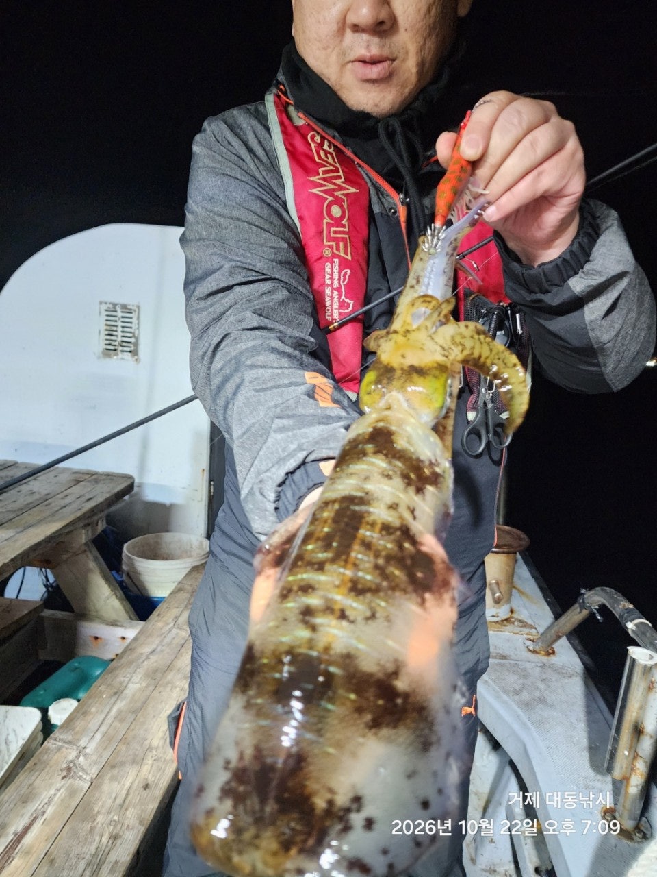 ����ڰ� �ø� �̹���